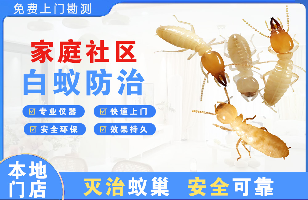 丽江家庭社区白蚁防治