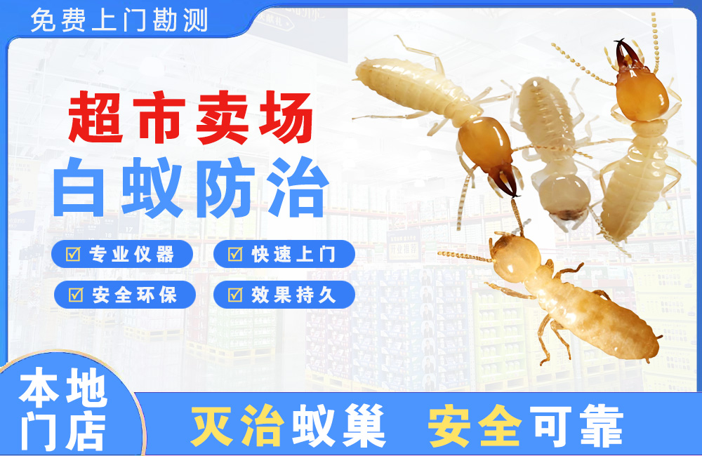 丽江超市卖场白蚁防治