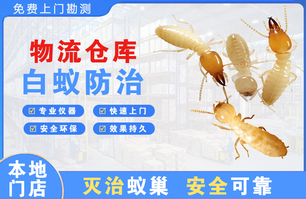 丽江物流仓库白蚁防治