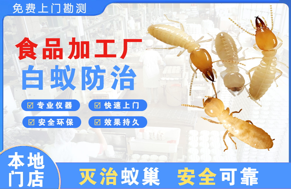 丽江食品加工厂白蚁防治