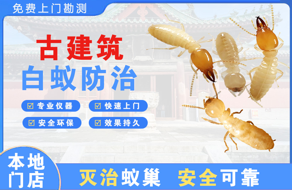 丽江古建筑白蚁防治