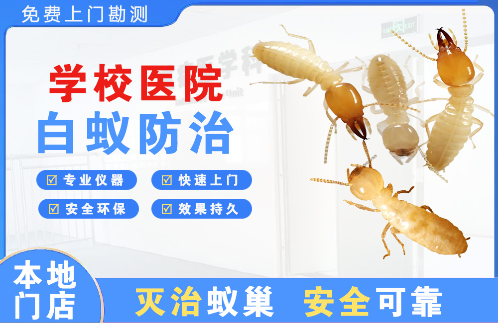 丽江学校医院白蚁防治