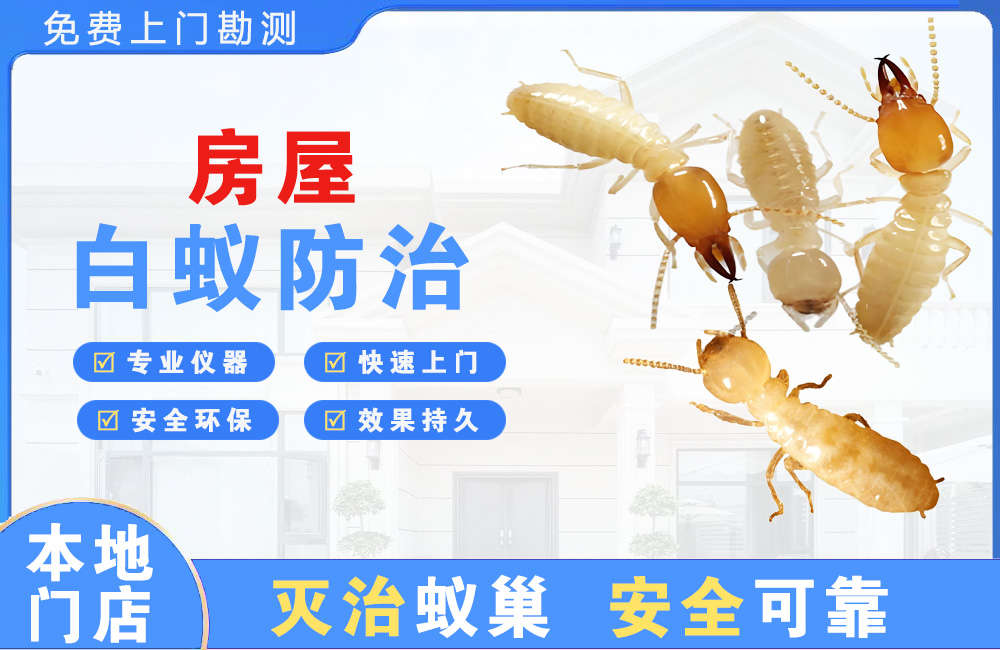 丽江房屋白蚁防治