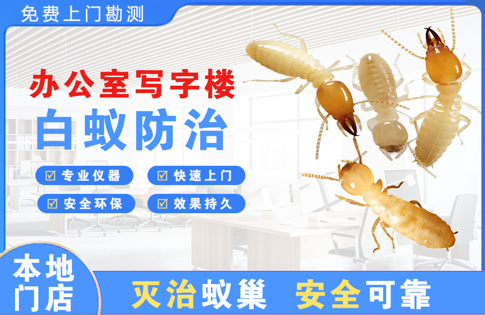 丽江办公室写字楼白蚁防治