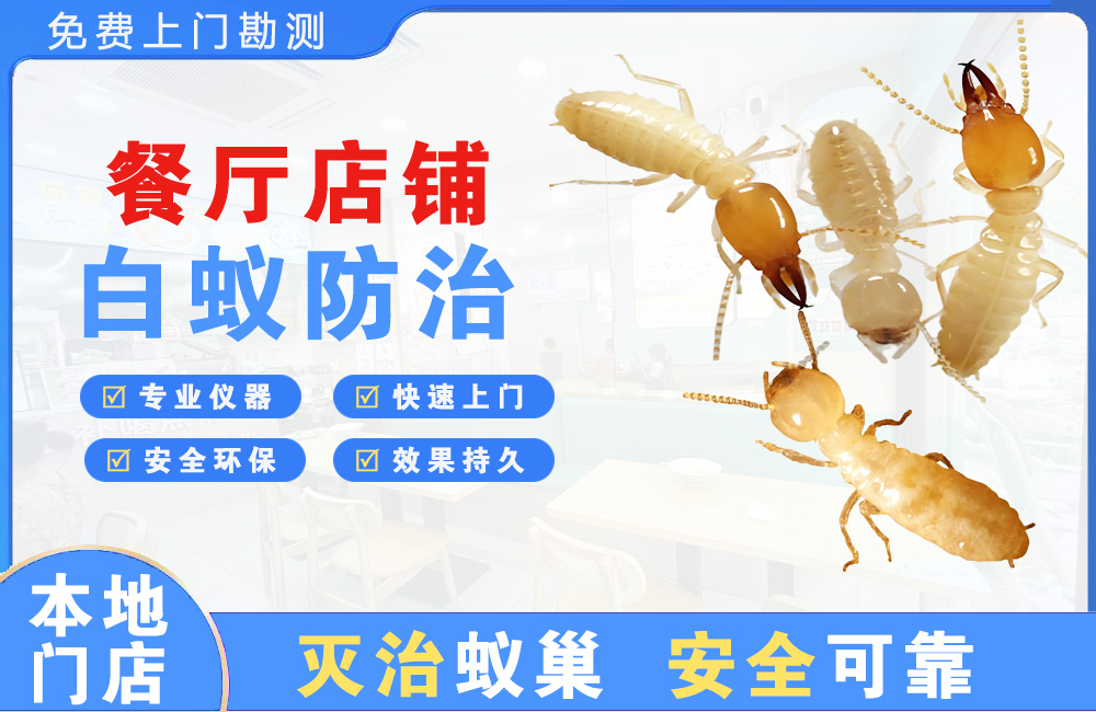 丽江餐厅店铺白蚁防治